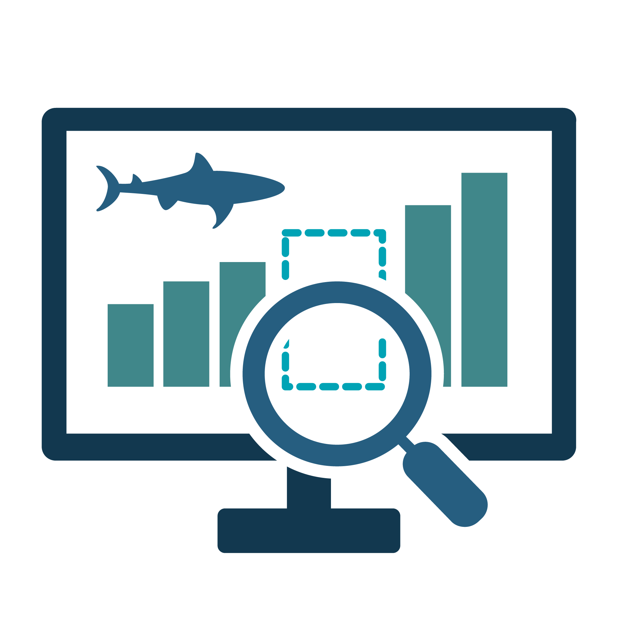Gather important information to better understand sharks, skates and rays.
